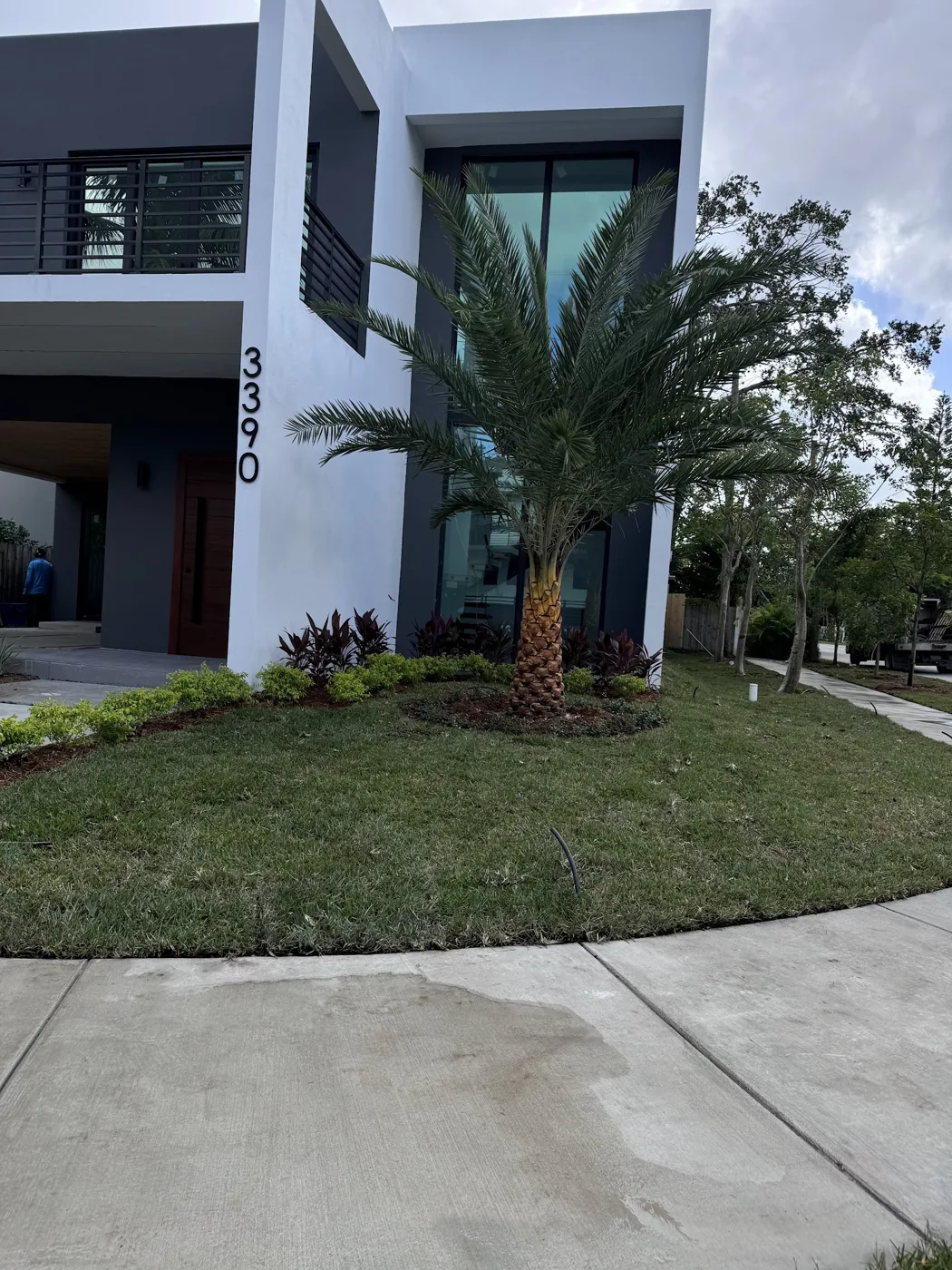 Modern South Florida home with custom tropical foundation planting