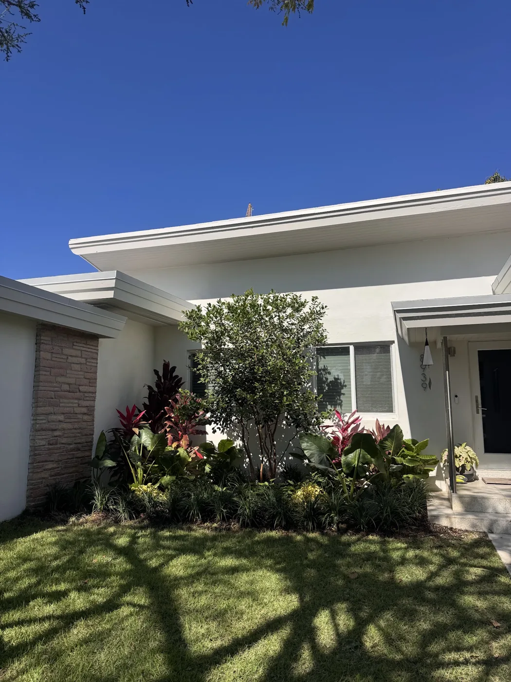 Modern home entrance with tropical foundation planting