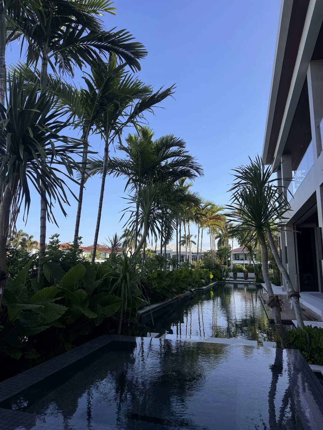 Royal palms lining a waterfront canal at a South Florida estate by Calderon Elder Landscaping