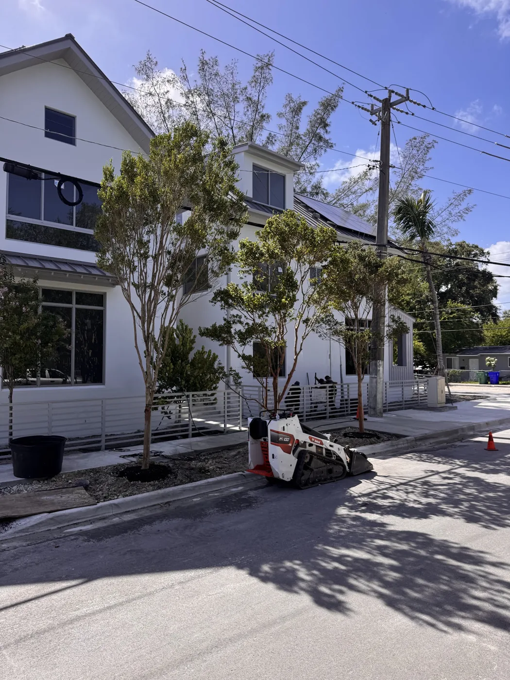 Tropical palm and croton planting bed installed by Calderon Elder Landscaping