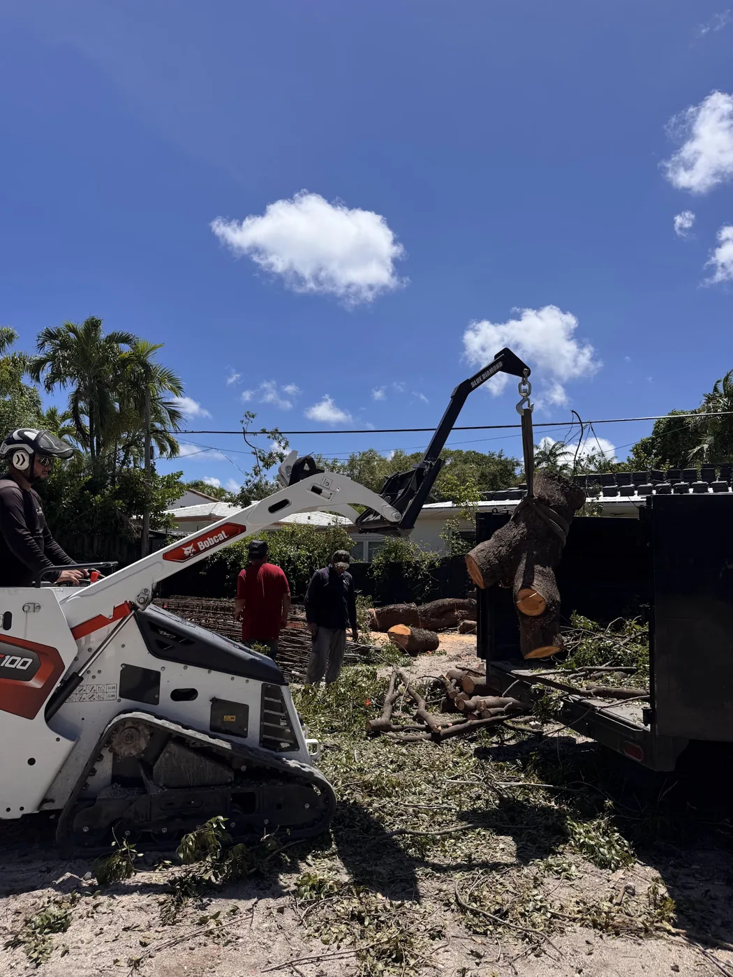 Calderon Elder crew clearing and grinding with a compact loader